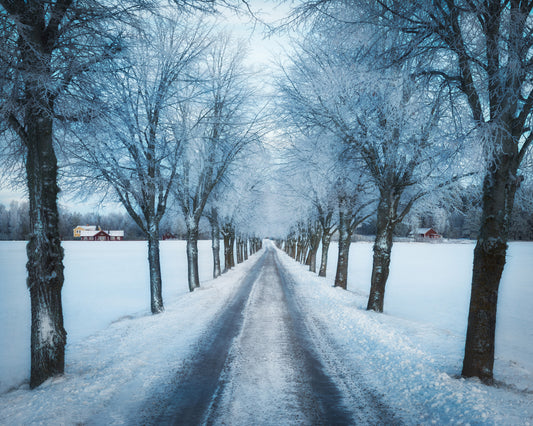 Swedish Winter