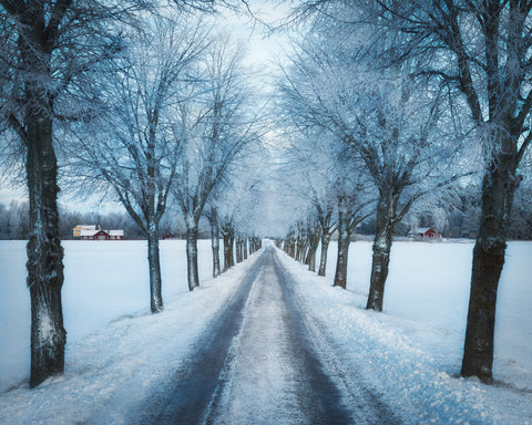 Swedish Winter