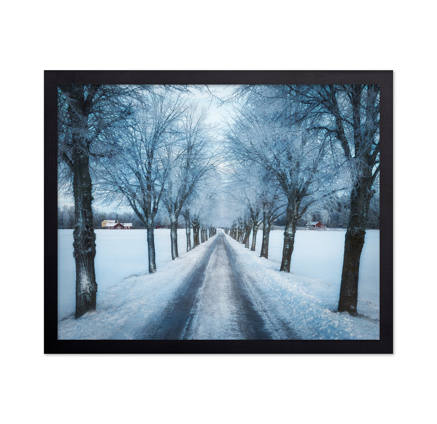 Swedish Winter