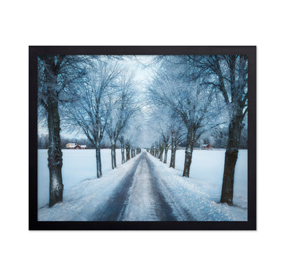 Swedish Winter