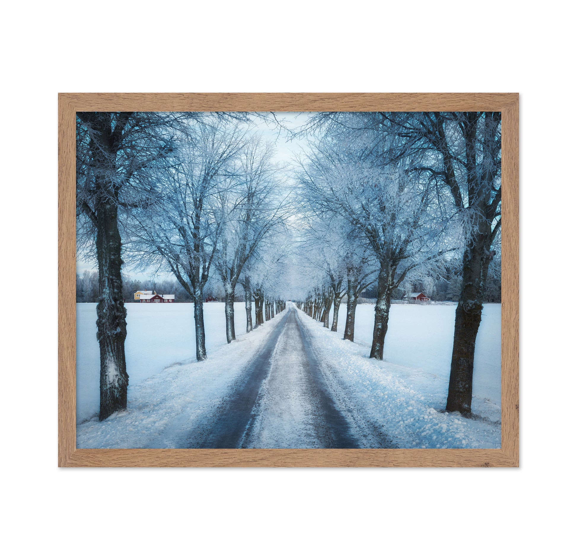 Swedish Winter