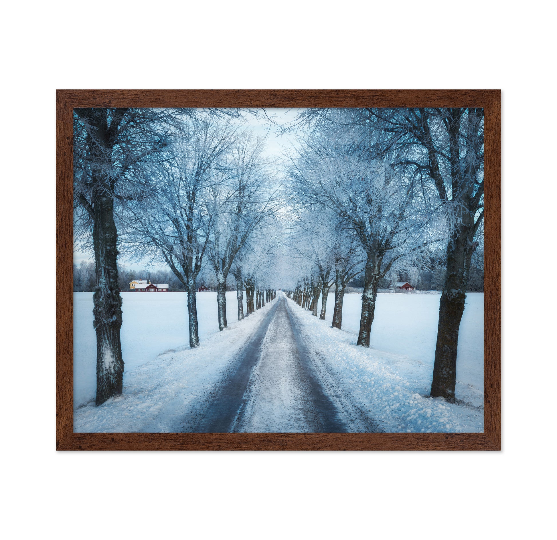 Swedish Winter