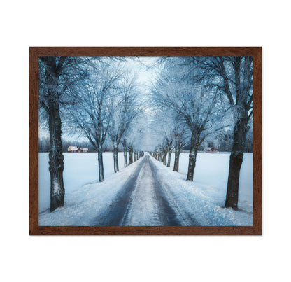 Swedish Winter