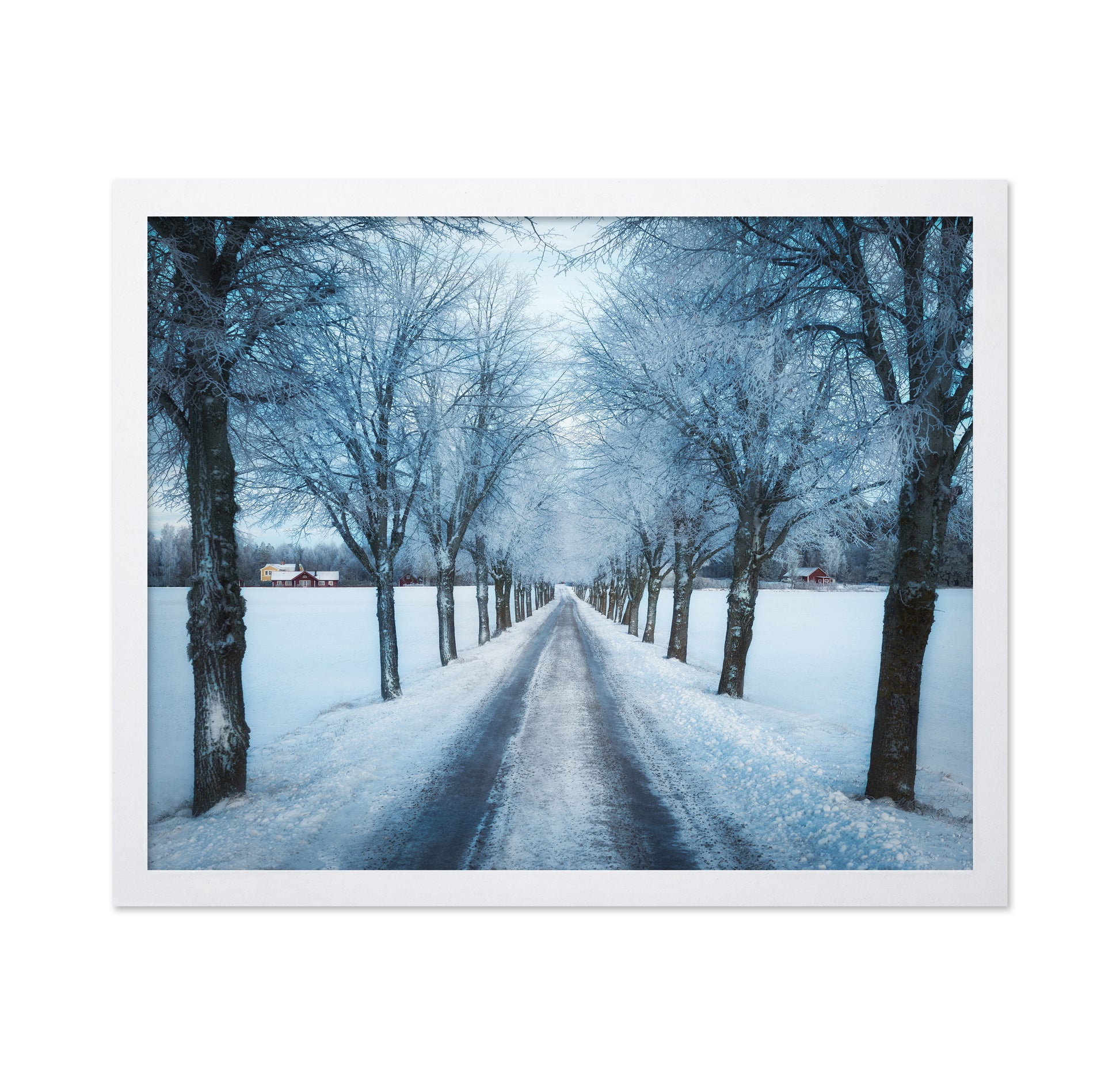 Swedish Winter