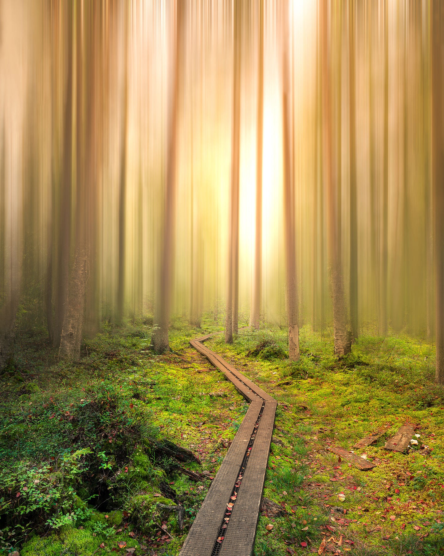Winding Path to the Light