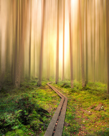 Winding Path to the Light