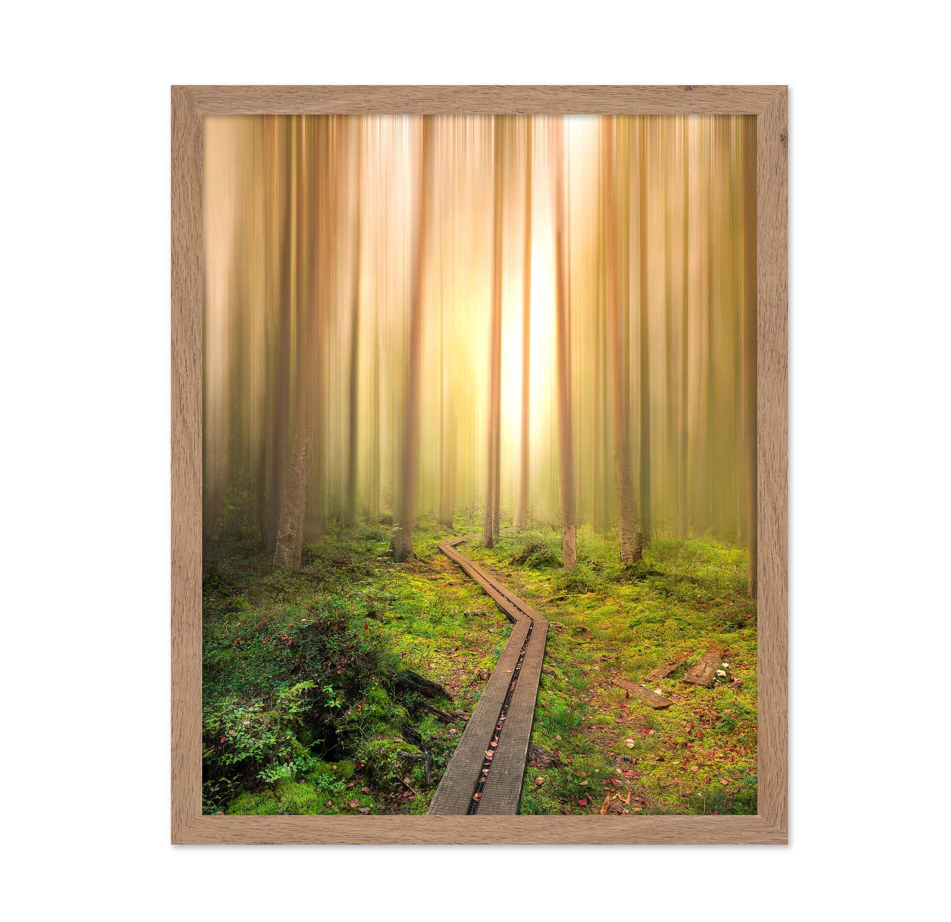 Winding Path to the Light