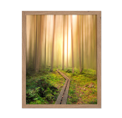 Winding Path to the Light