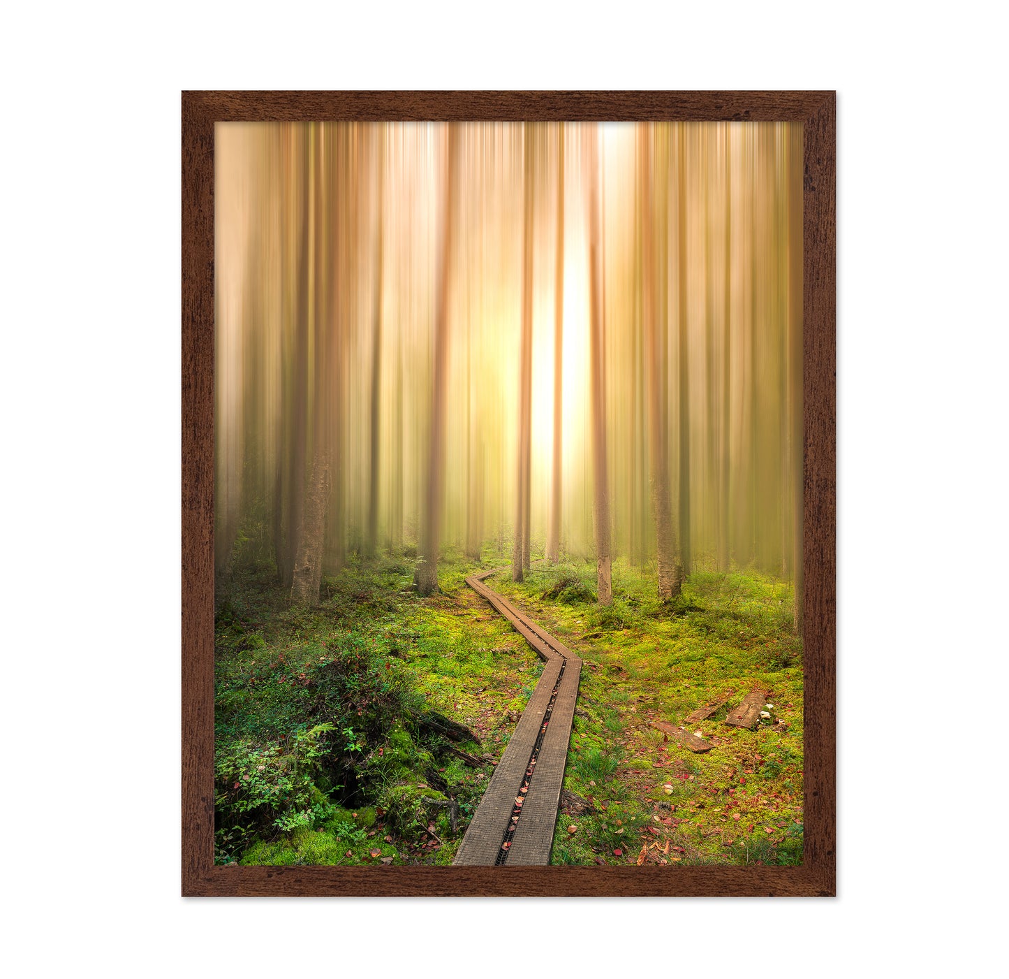 Winding Path to the Light