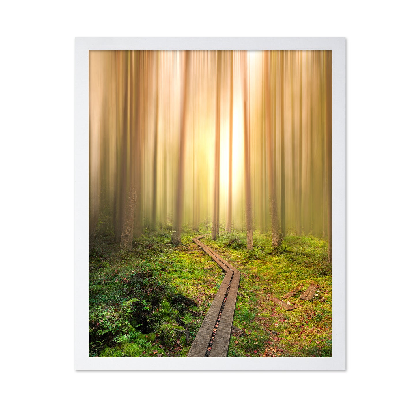 Winding Path to the Light