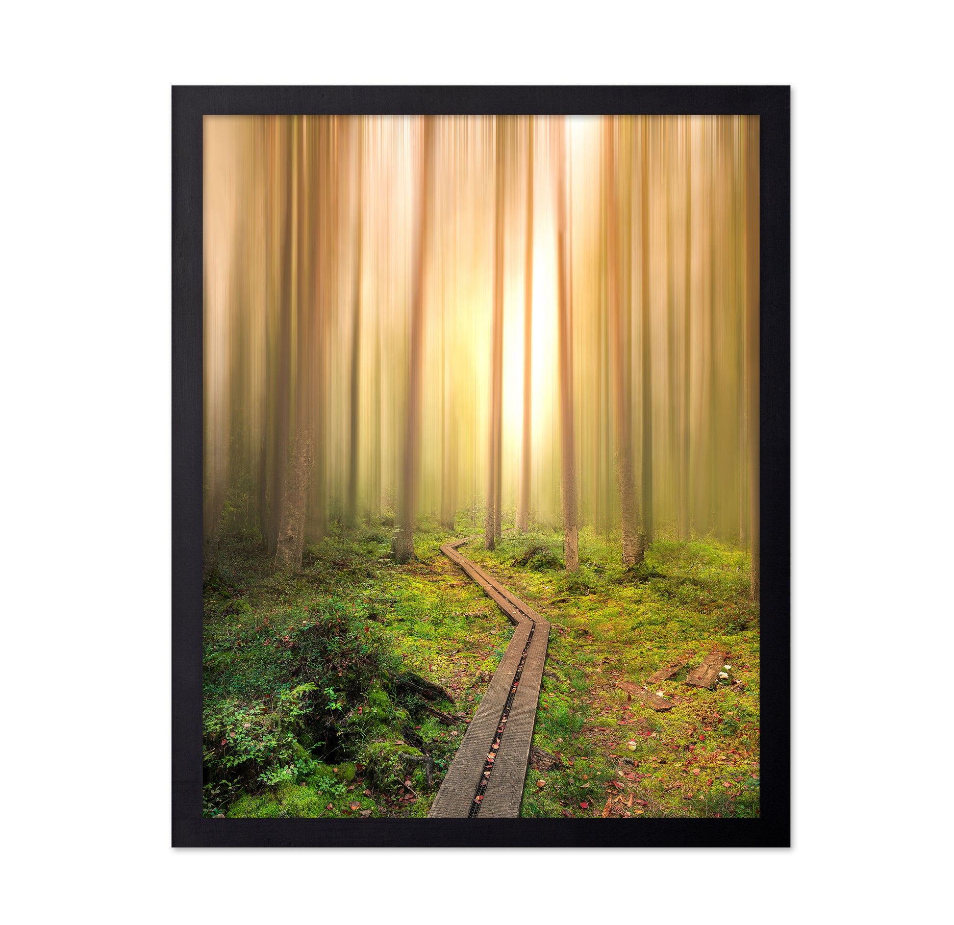 Winding Path to the Light