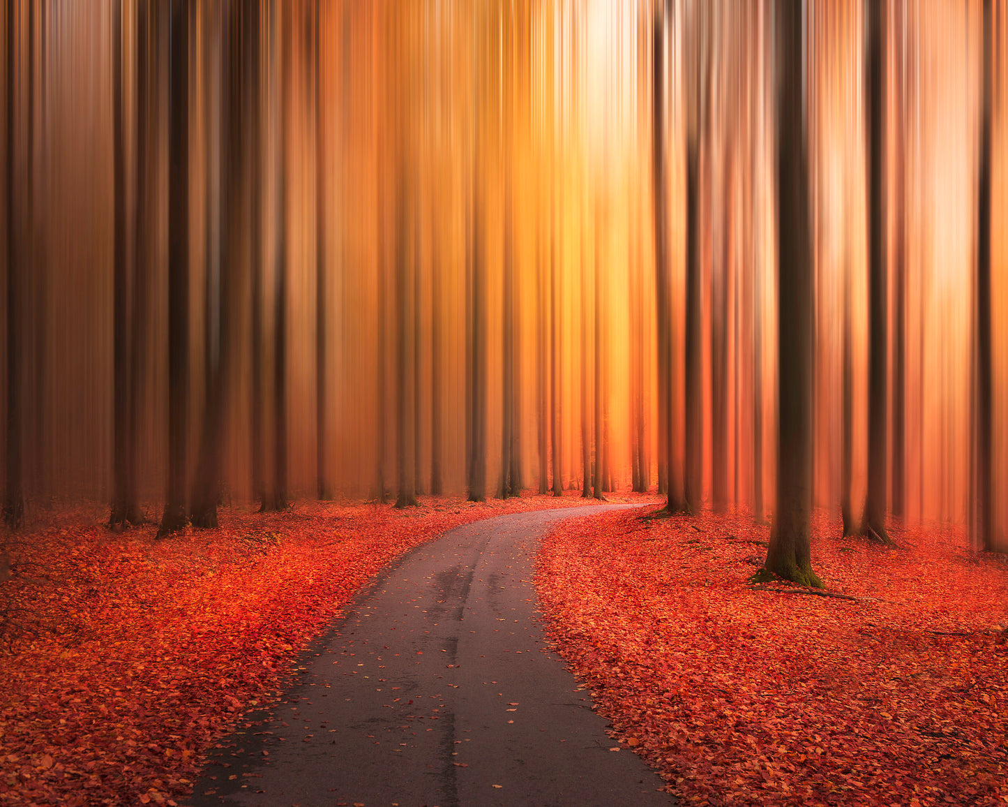 Path To Unknown