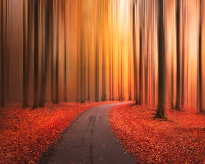 Path To Unknown