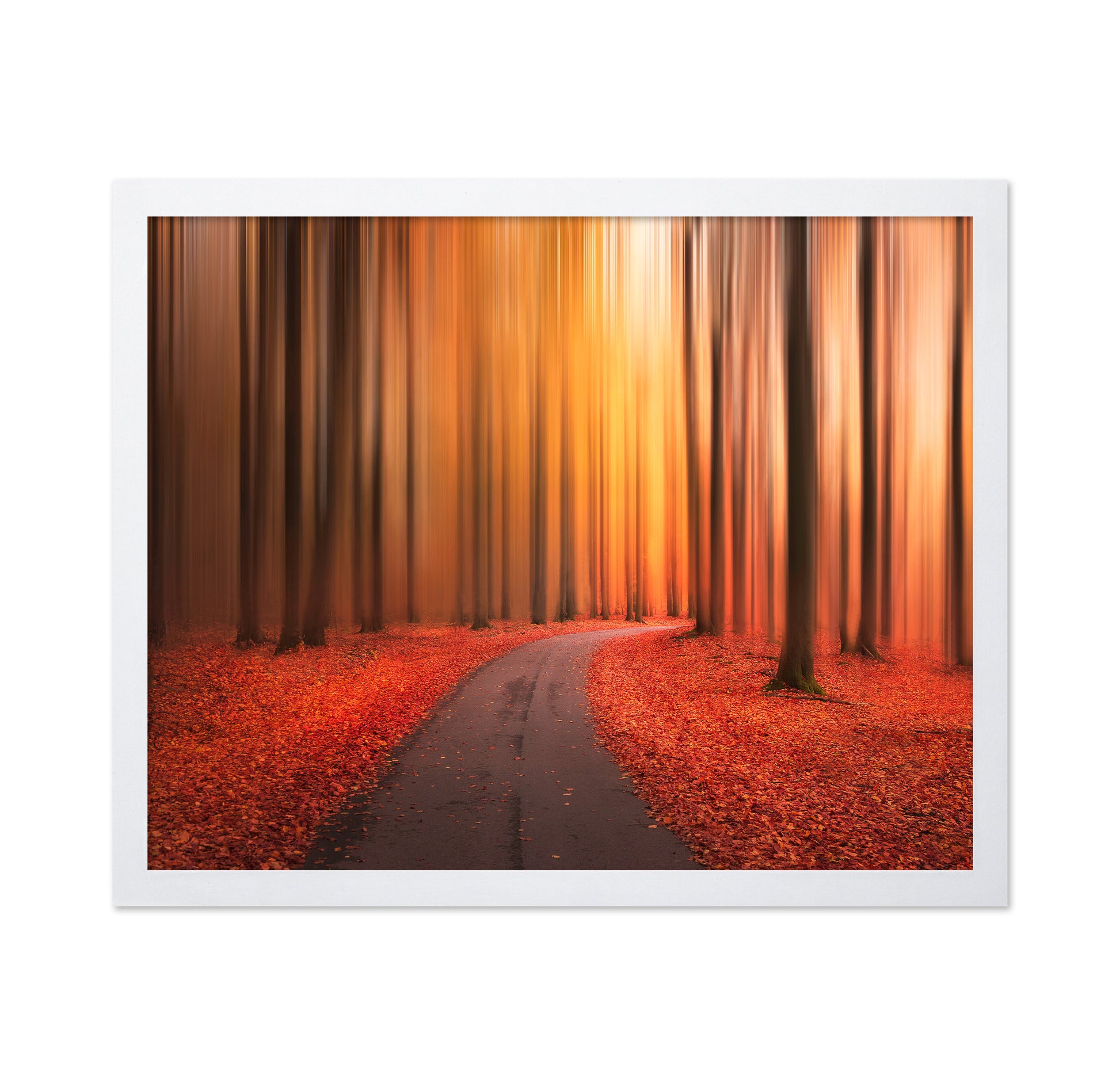Path To Unknown