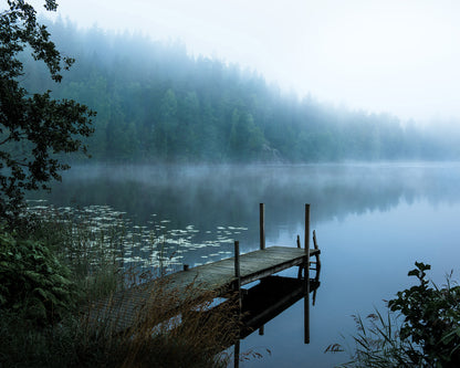 Moody Morning