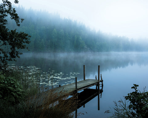 Moody Morning