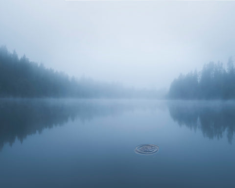 Ripple In The Water