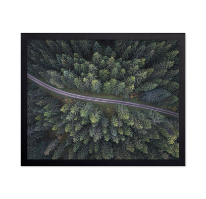Small Road Through The Forest