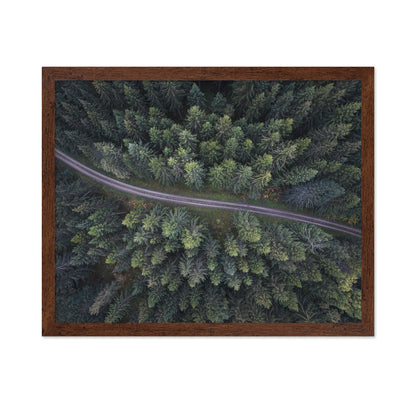 Small Road Through The Forest
