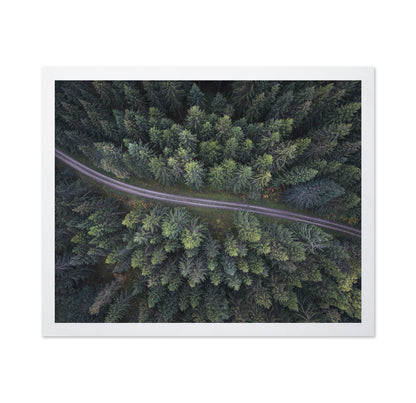 Small Road Through The Forest