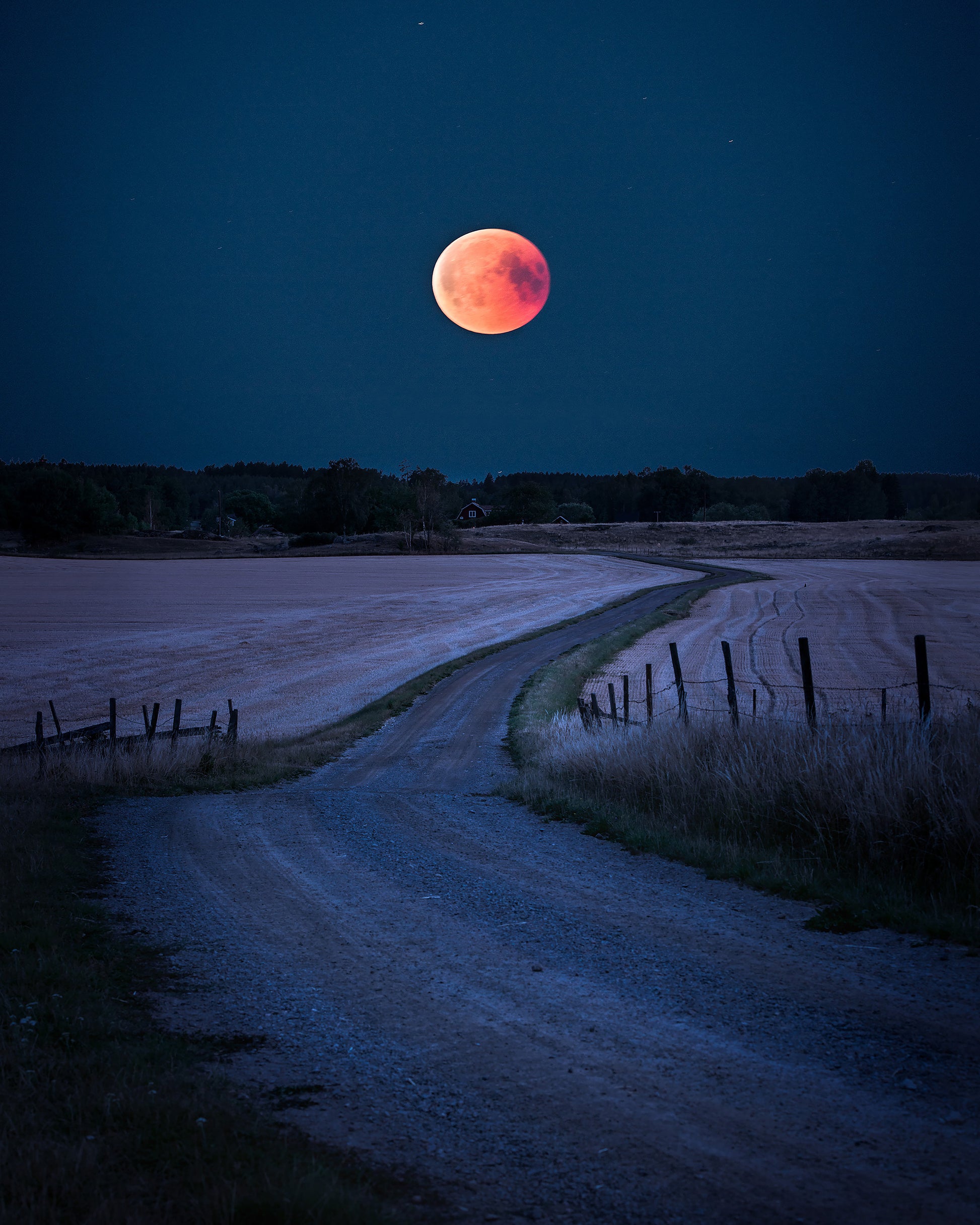 Bloodmoon