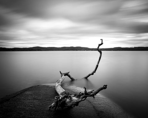 Branch Long Exposure Lake