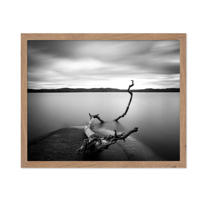 Branch Long Exposure Lake