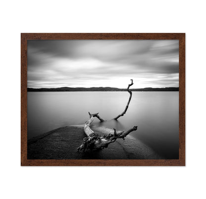 Branch Long Exposure Lake