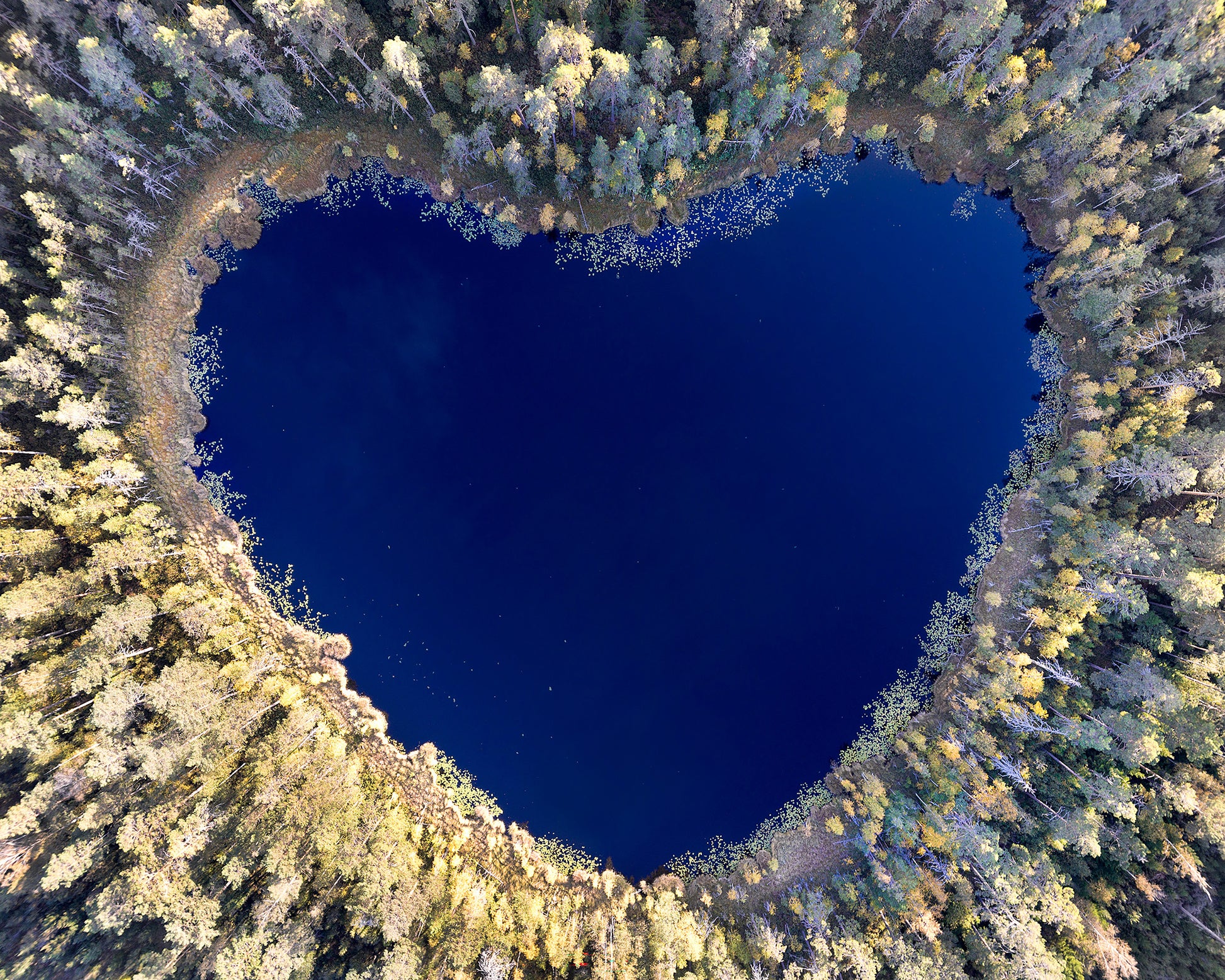 All You Need Is Love