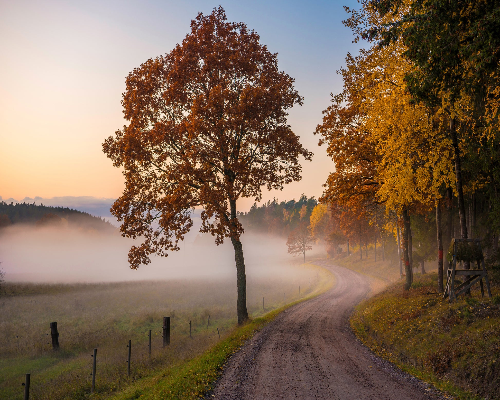 Countryside Vibes