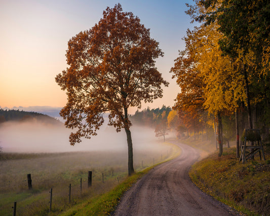 Countryside Vibes