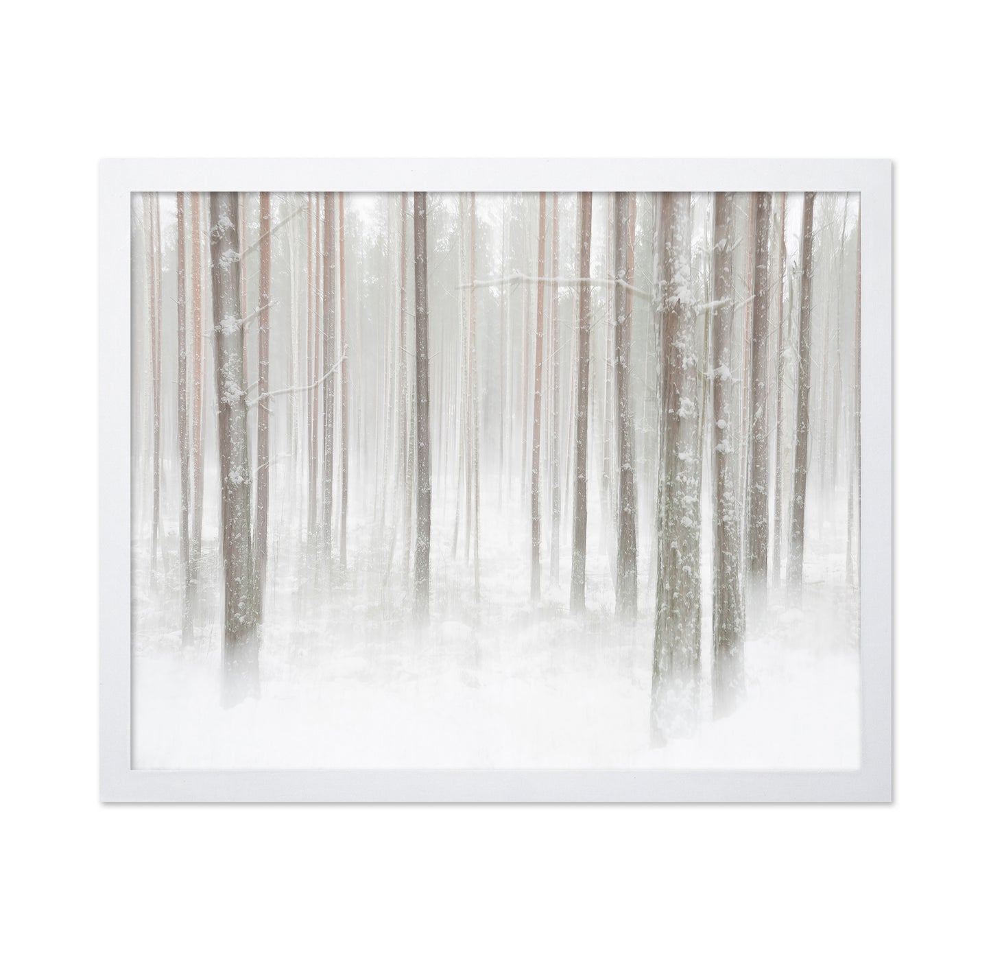 Winterforest In Sweden