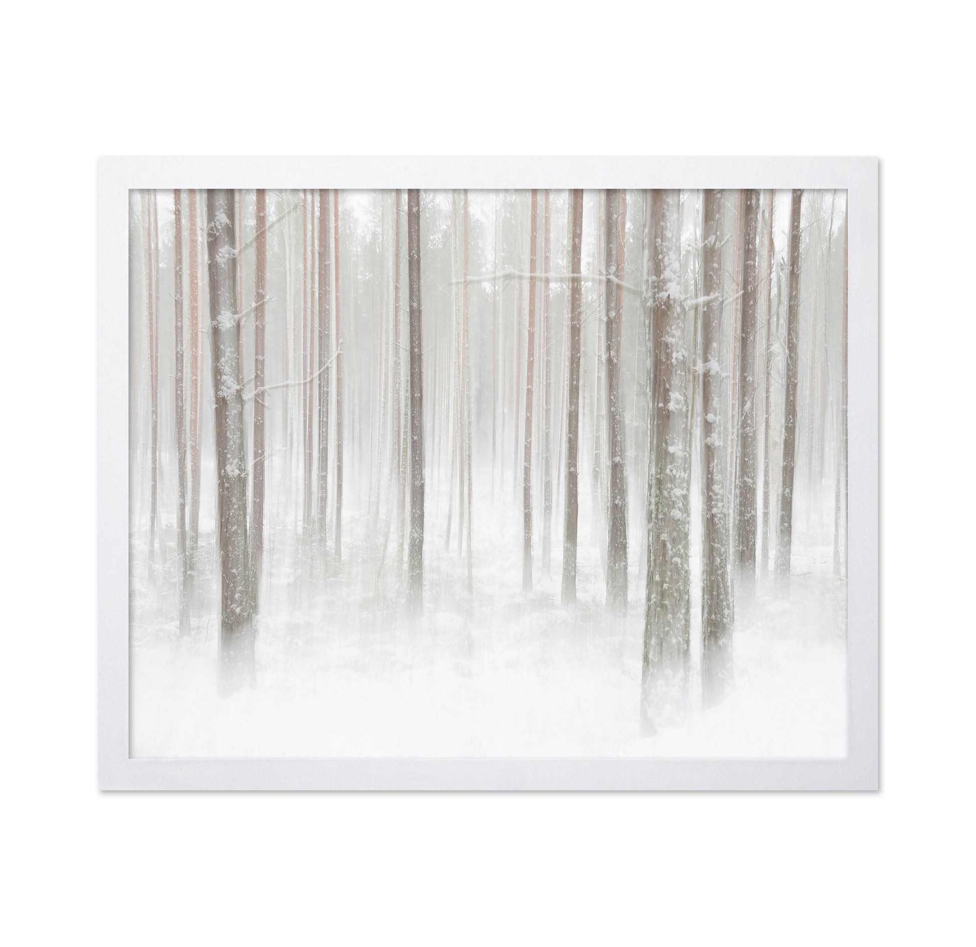 Winterforest In Sweden