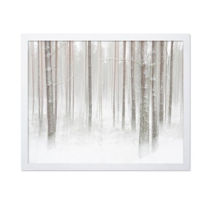 Winterforest In Sweden