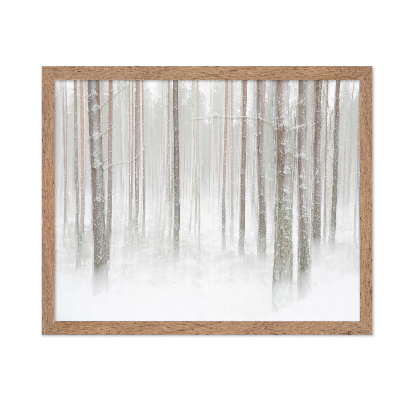 Winterforest In Sweden