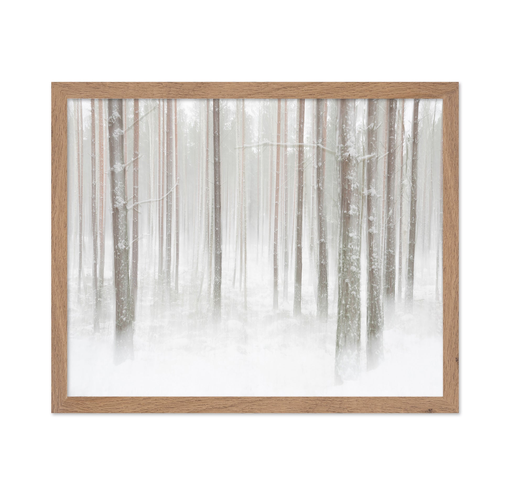 Winterforest In Sweden