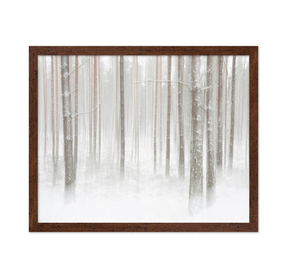 Winterforest In Sweden