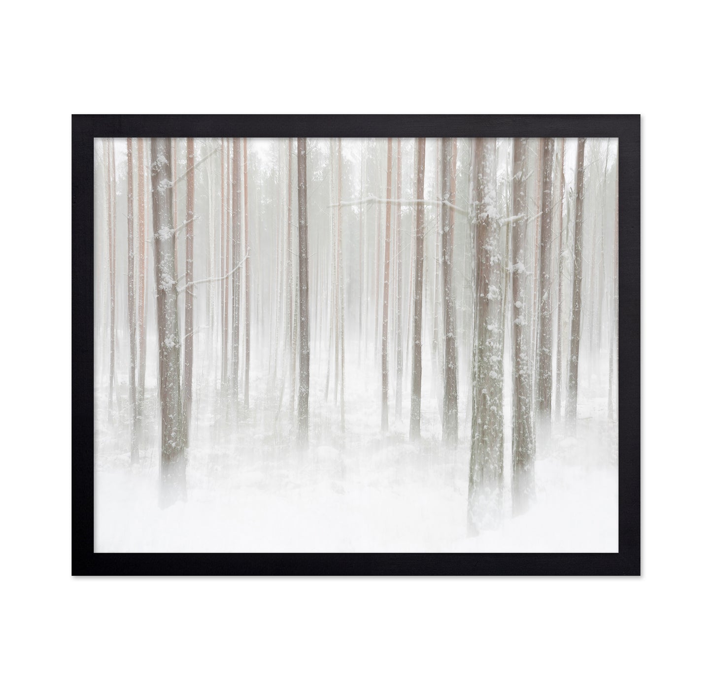 Winterforest In Sweden