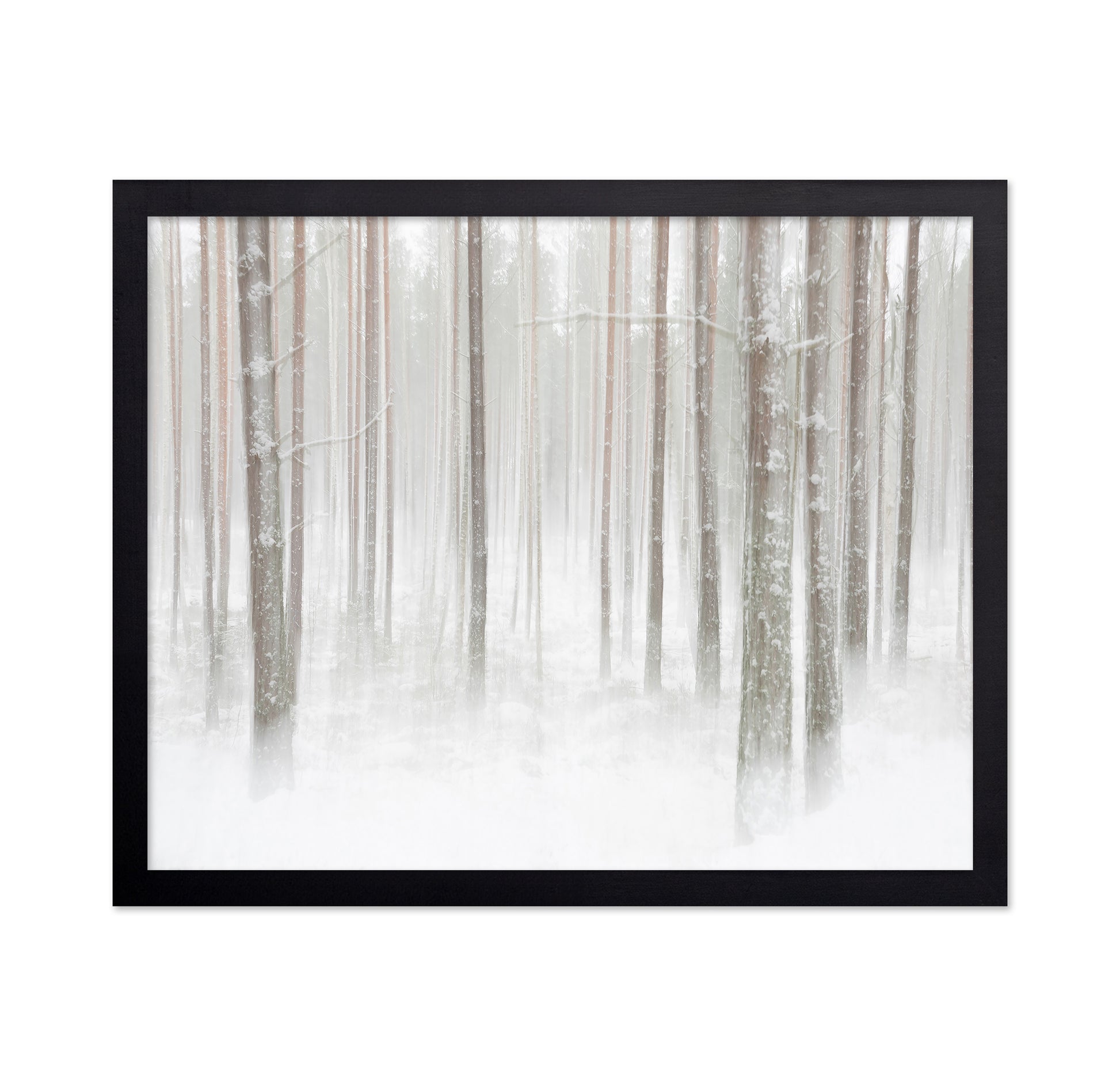 Winterforest In Sweden