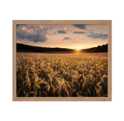 Fields Of Gold