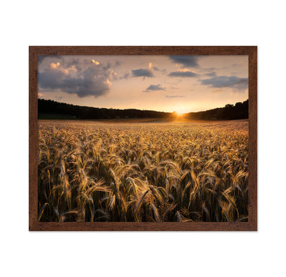 Fields Of Gold