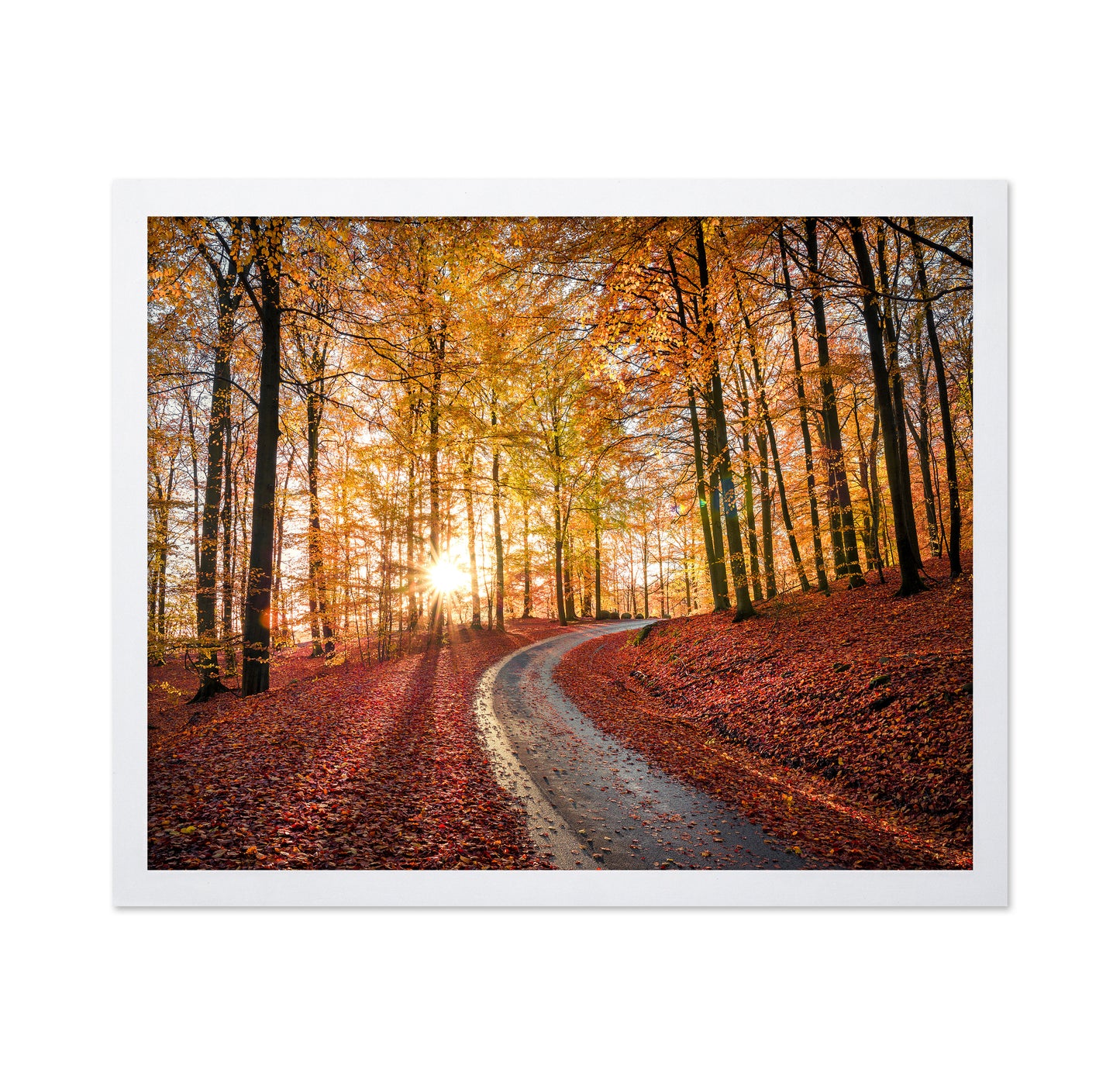 Road In Sapderaysen Nationalpark Sweden
