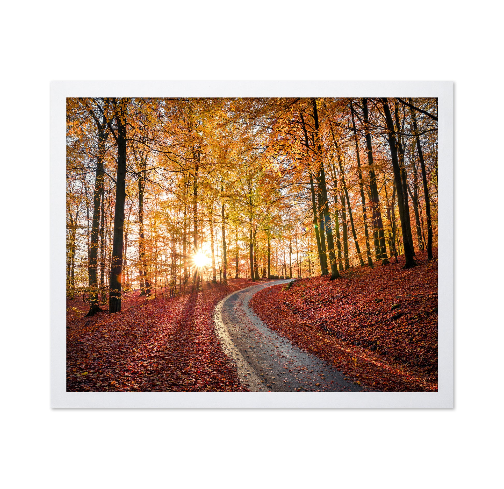 Road In Sapderaysen Nationalpark Sweden