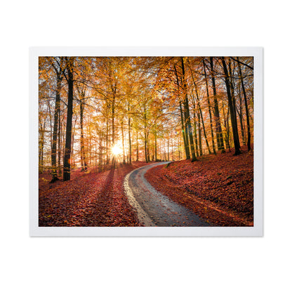 Road In Sapderaysen Nationalpark Sweden