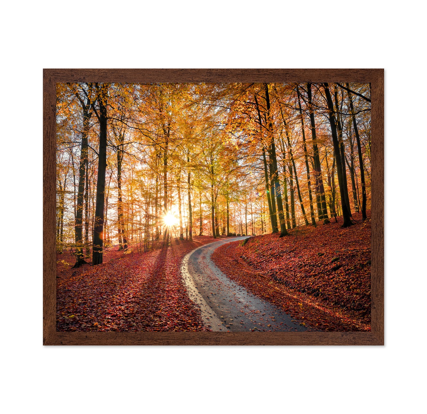 Road In Sapderaysen Nationalpark Sweden