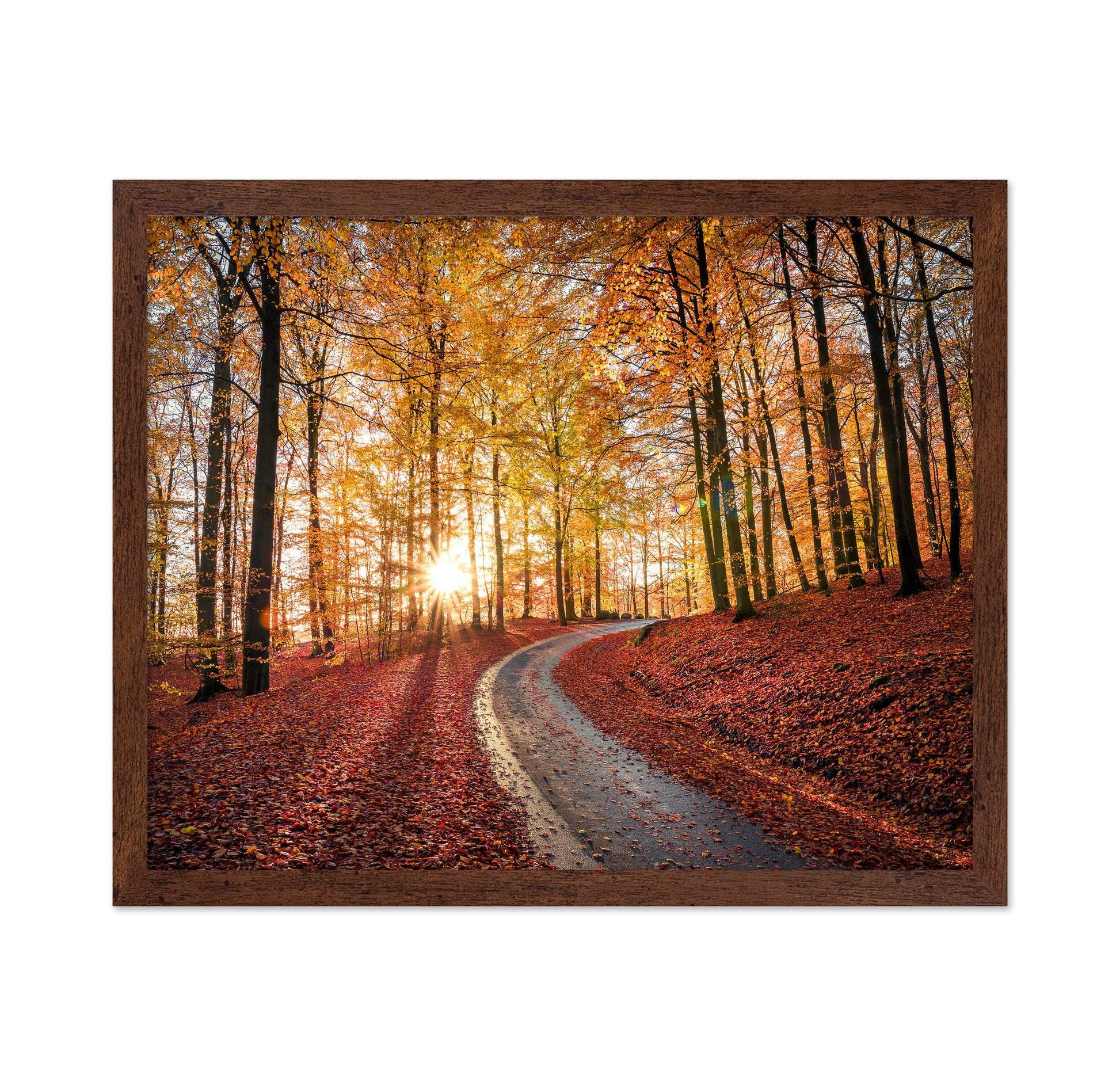 Road In Sapderaysen Nationalpark Sweden