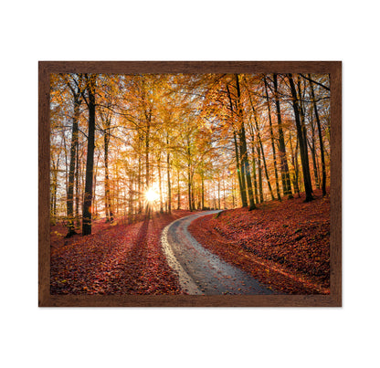 Road In Sapderaysen Nationalpark Sweden