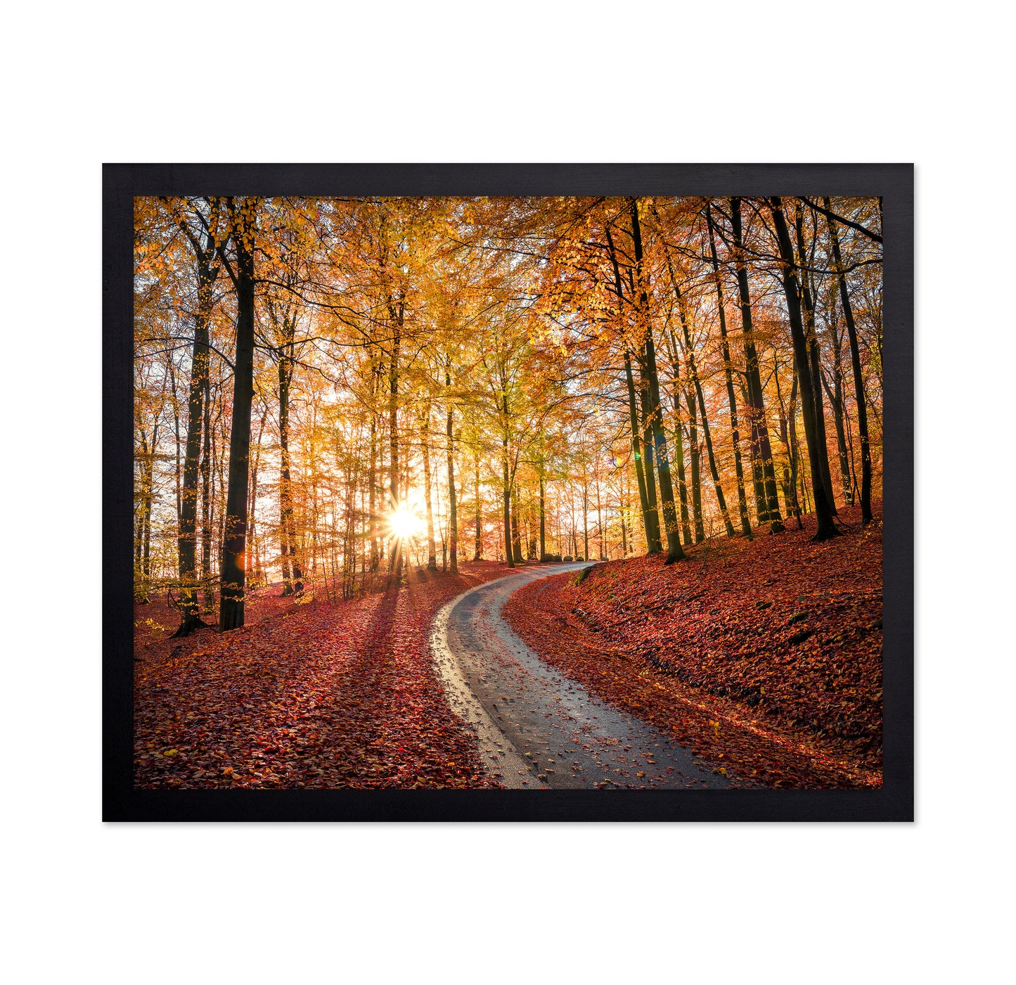 Road In Sapderaysen Nationalpark Sweden
