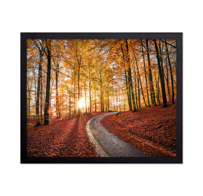 Road In Sapderaysen Nationalpark Sweden