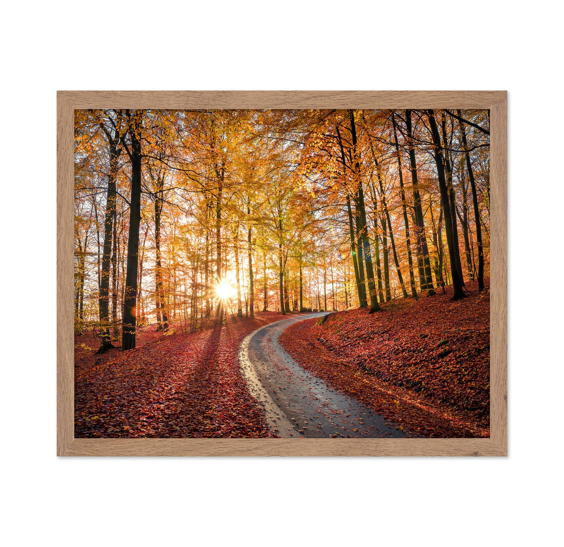 Road In Sapderaysen Nationalpark Sweden